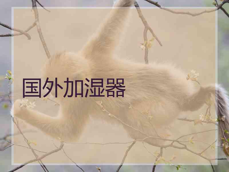 国外加湿器