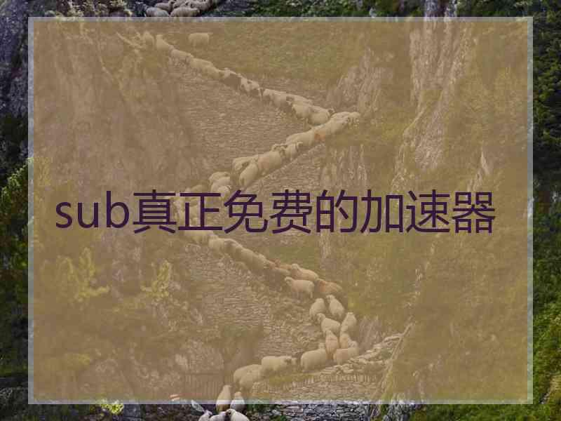 sub真正免费的加速器
