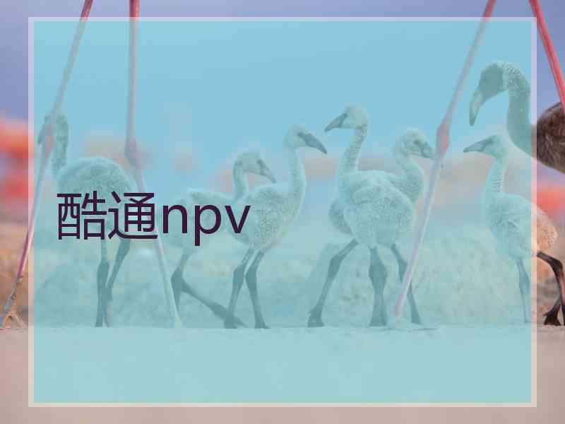 酷通npv