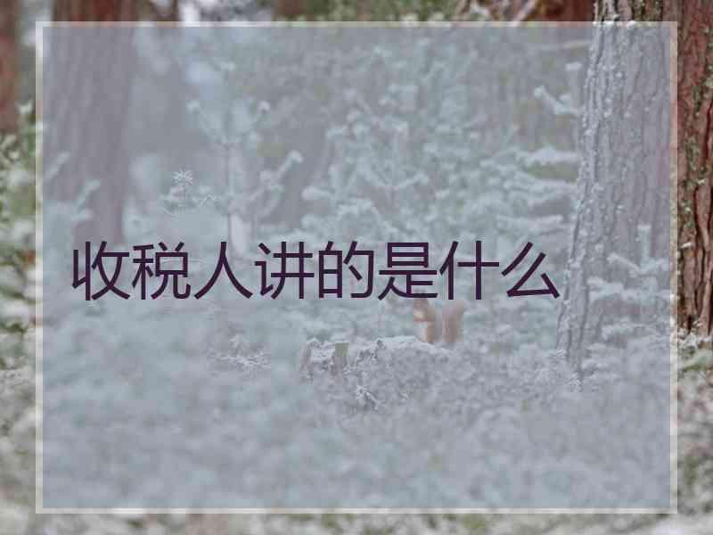 收税人讲的是什么