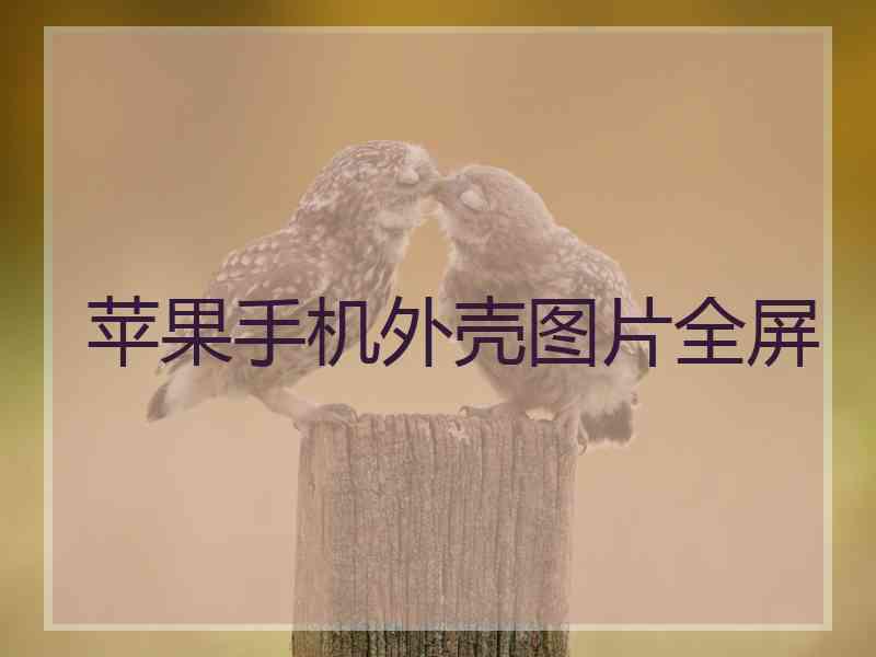 苹果手机外壳图片全屏