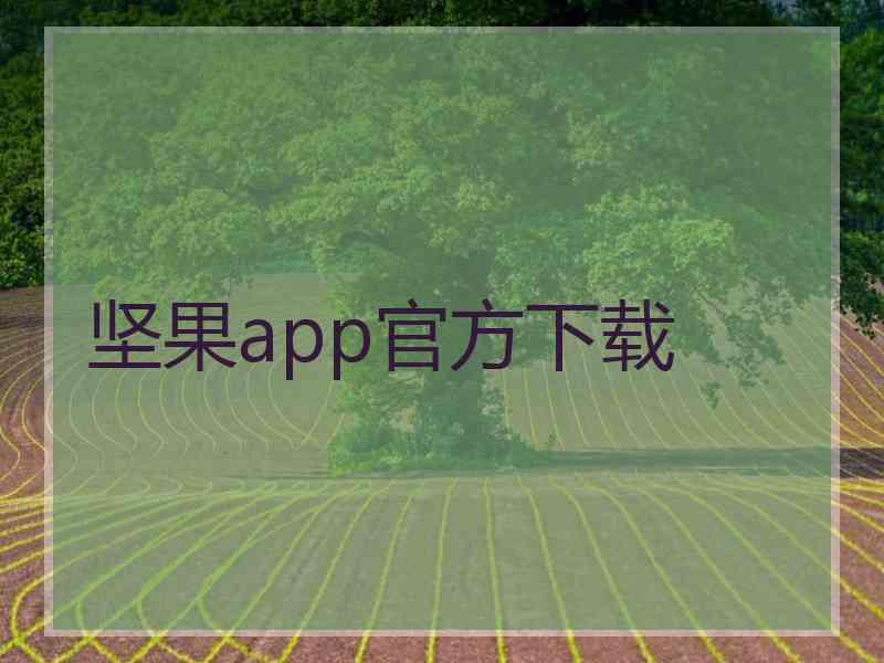 坚果app官方下载