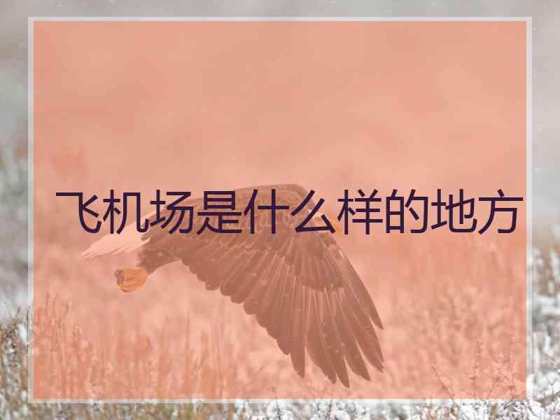 飞机场是什么样的地方