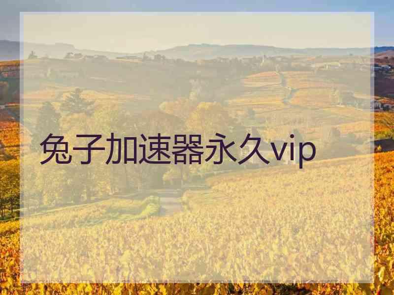 兔子加速器永久vip