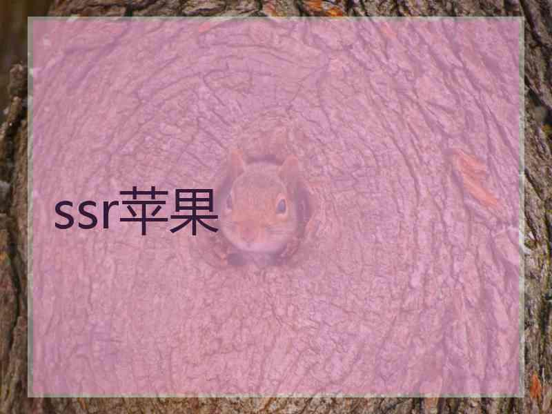 ssr苹果