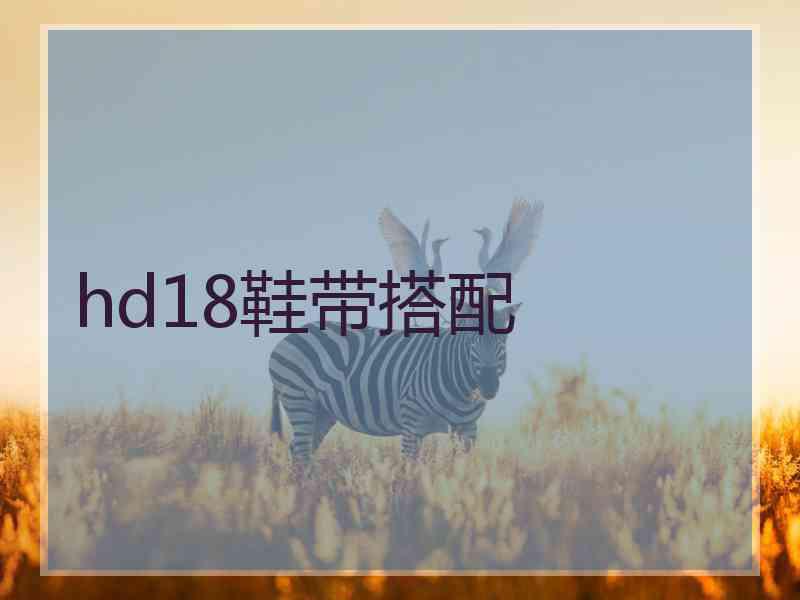 hd18鞋带搭配