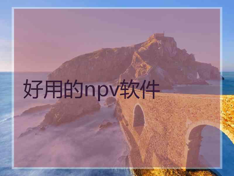 好用的npv软件