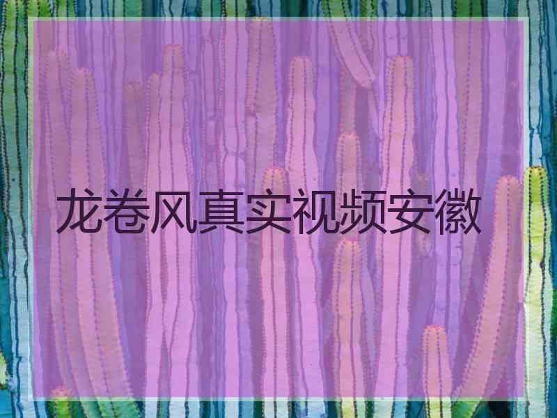 龙卷风真实视频安徽
