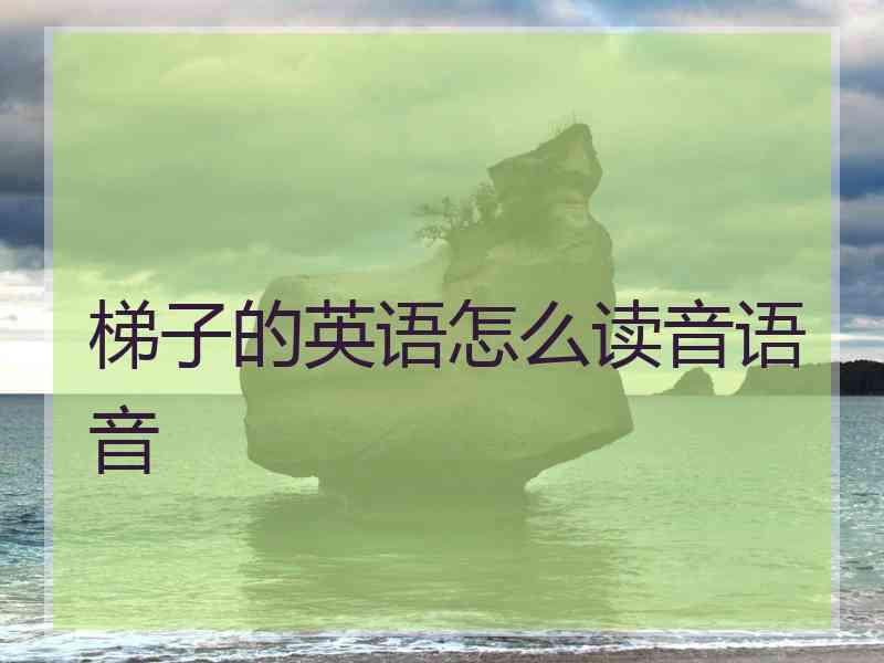 梯子的英语怎么读音语音