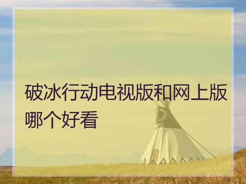 破冰行动电视版和网上版哪个好看