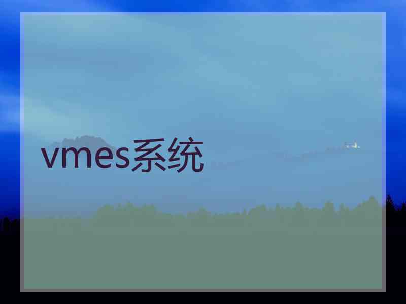 vmes系统