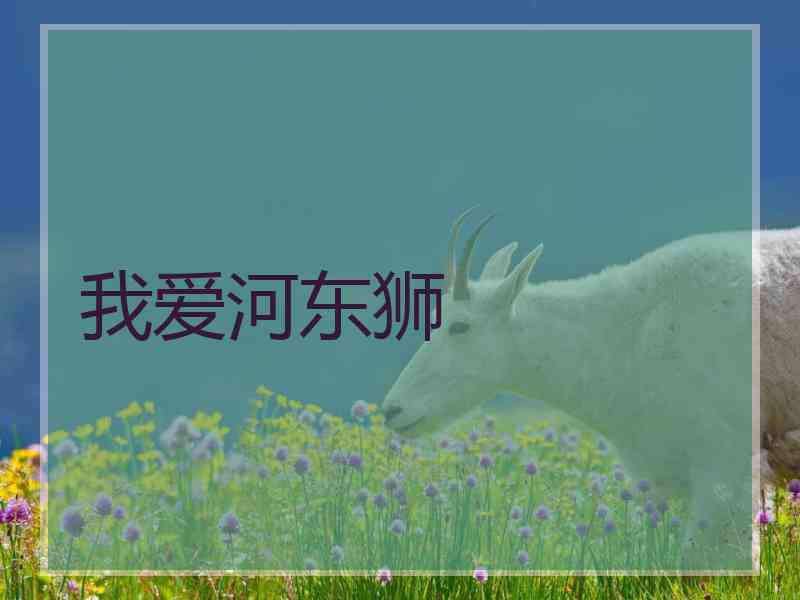 我爱河东狮