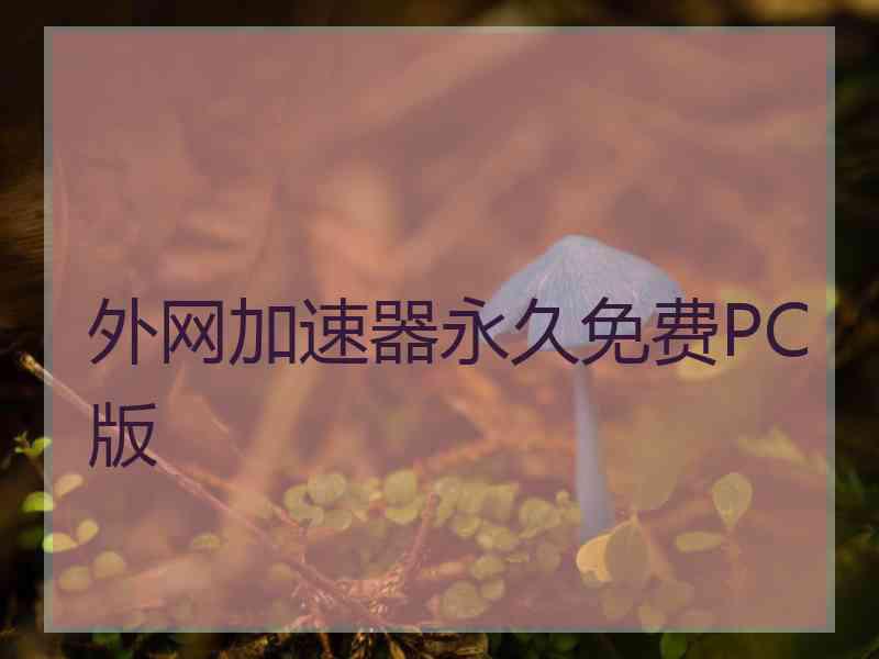 外网加速器永久免费PC版