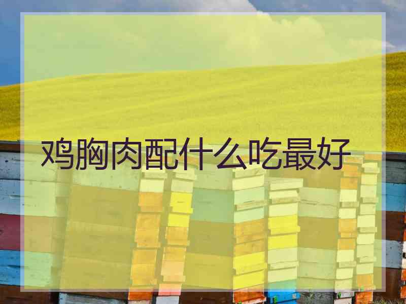 鸡胸肉配什么吃最好