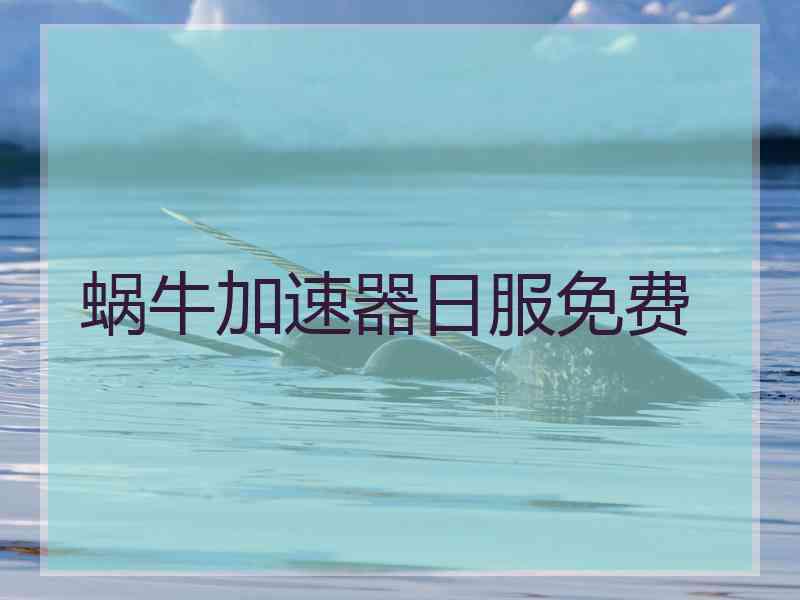 蜗牛加速器日服免费