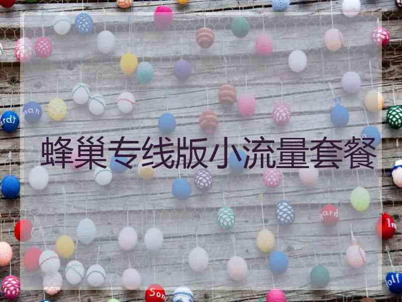 蜂巢专线版小流量套餐