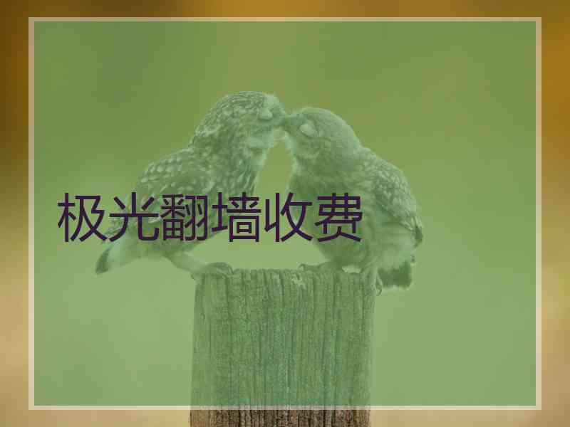 极光翻墙收费