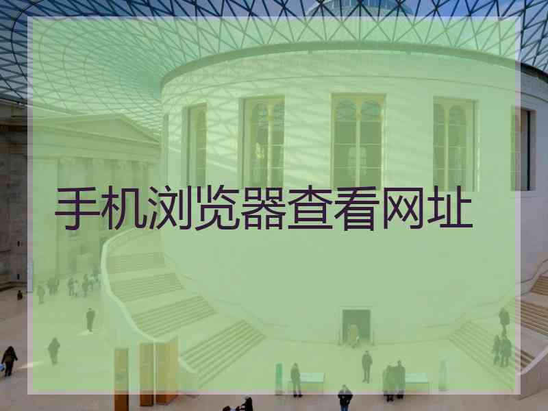 手机浏览器查看网址