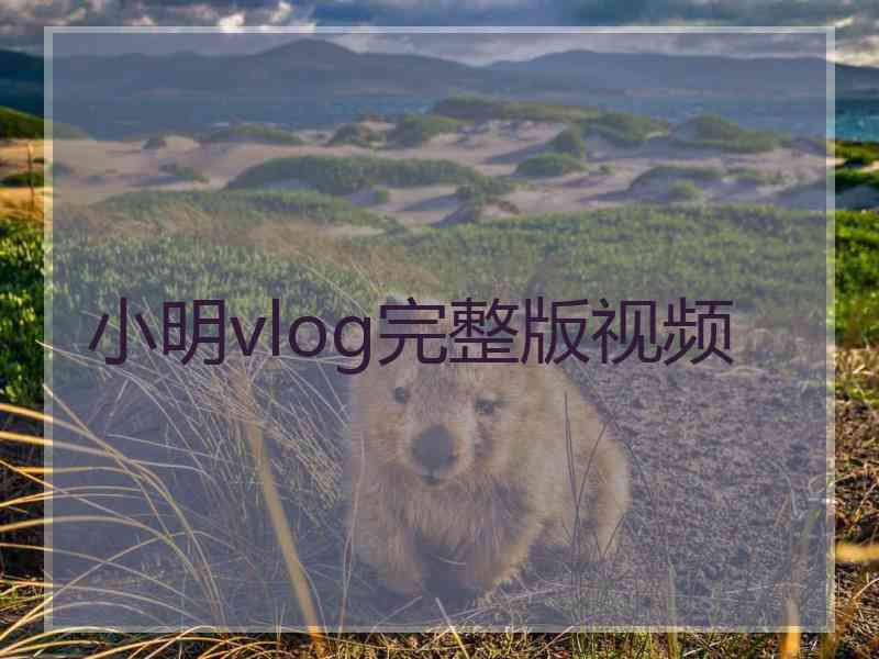 小明vlog完整版视频