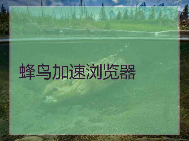 蜂鸟加速浏览器
