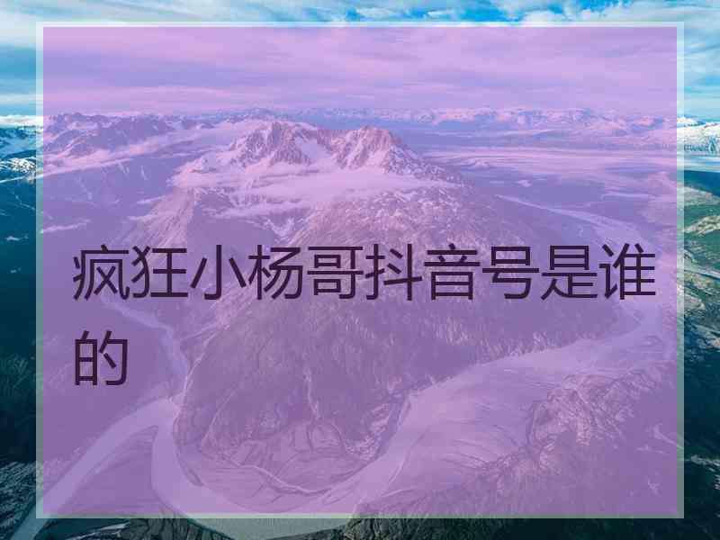 疯狂小杨哥抖音号是谁的