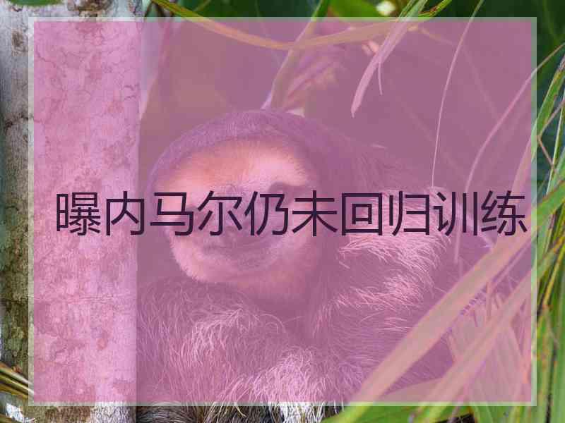 曝内马尔仍未回归训练