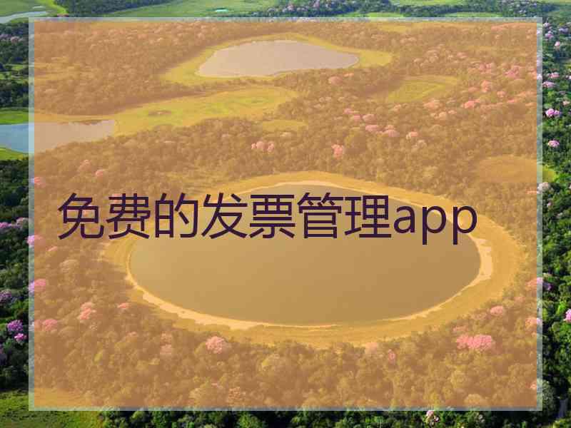 免费的发票管理app