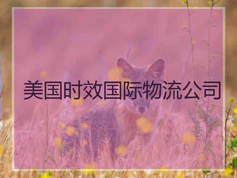 美国时效国际物流公司
