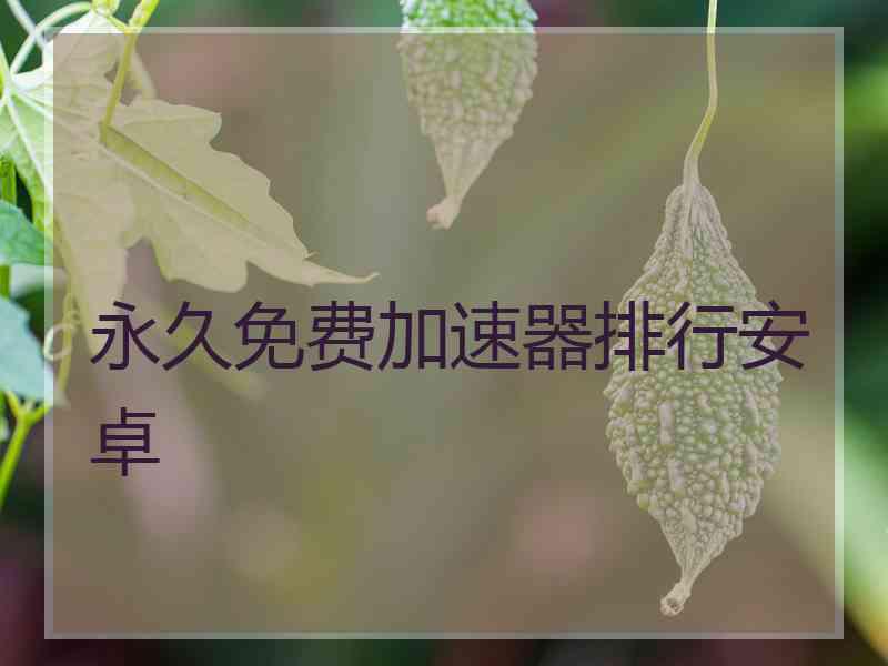 永久免费加速器排行安卓