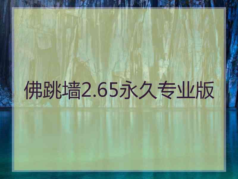 佛跳墙2.65永久专业版