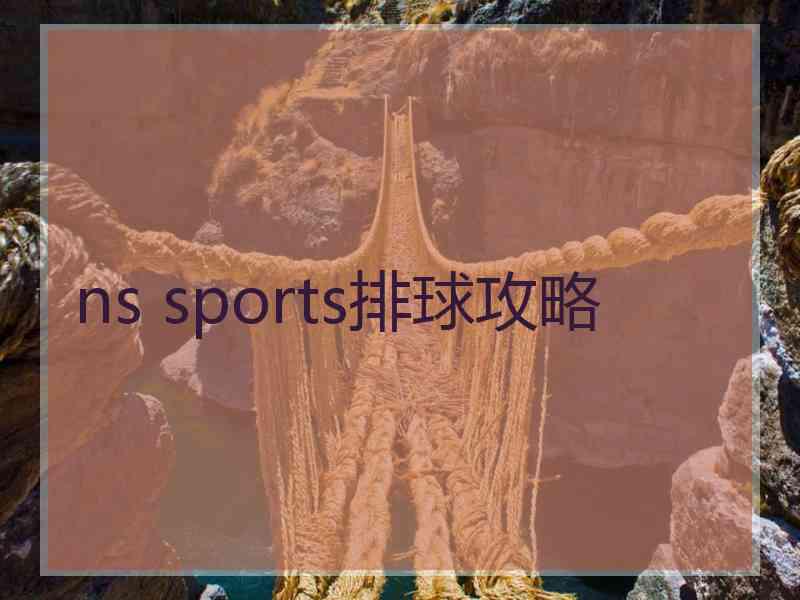 ns sports排球攻略