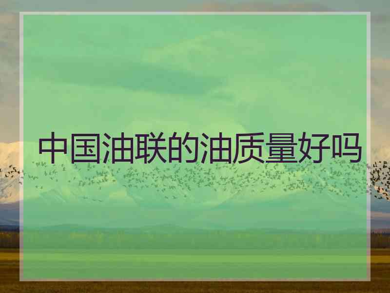 中国油联的油质量好吗