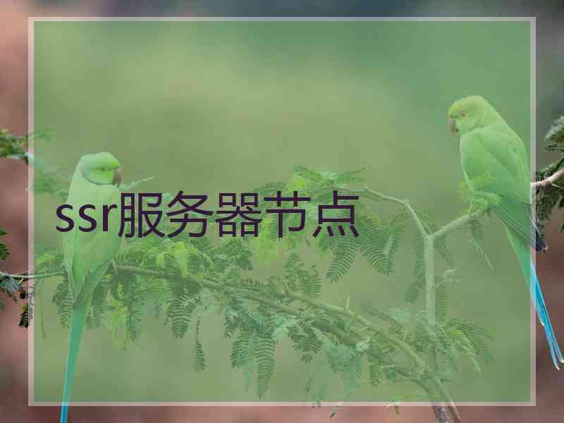 ssr服务器节点