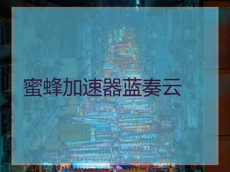 蜜蜂加速器蓝奏云