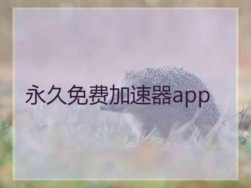 永久免费加速器app