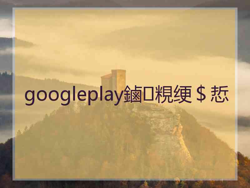 googleplay鏀粯绠＄悊