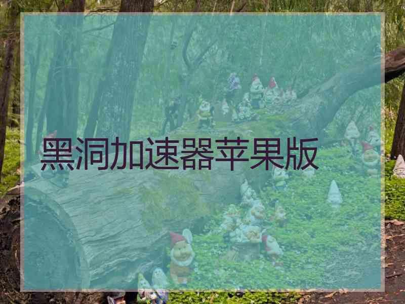 黑洞加速器苹果版