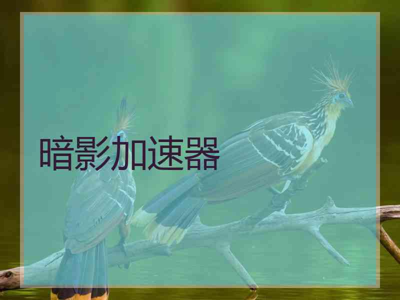 暗影加速器
