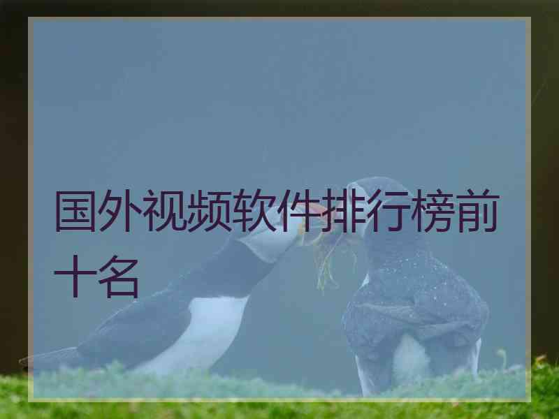 国外视频软件排行榜前十名