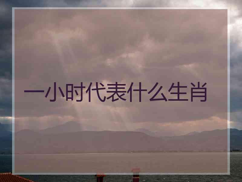 一小时代表什么生肖