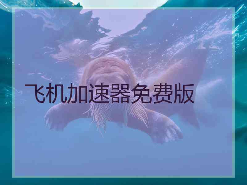 飞机加速器免费版