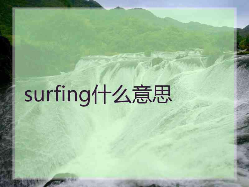 surfing什么意思