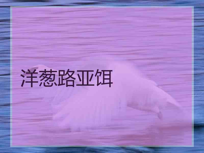洋葱路亚饵