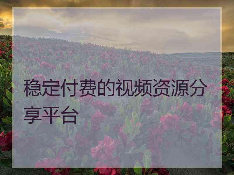 稳定付费的视频资源分享平台