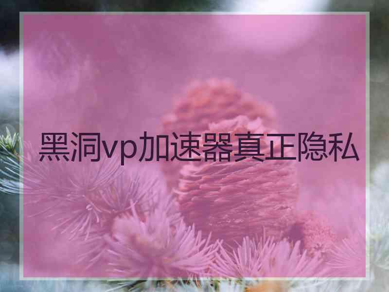 黑洞vp加速器真正隐私