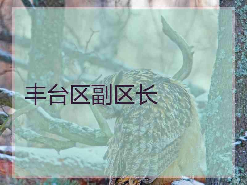 丰台区副区长