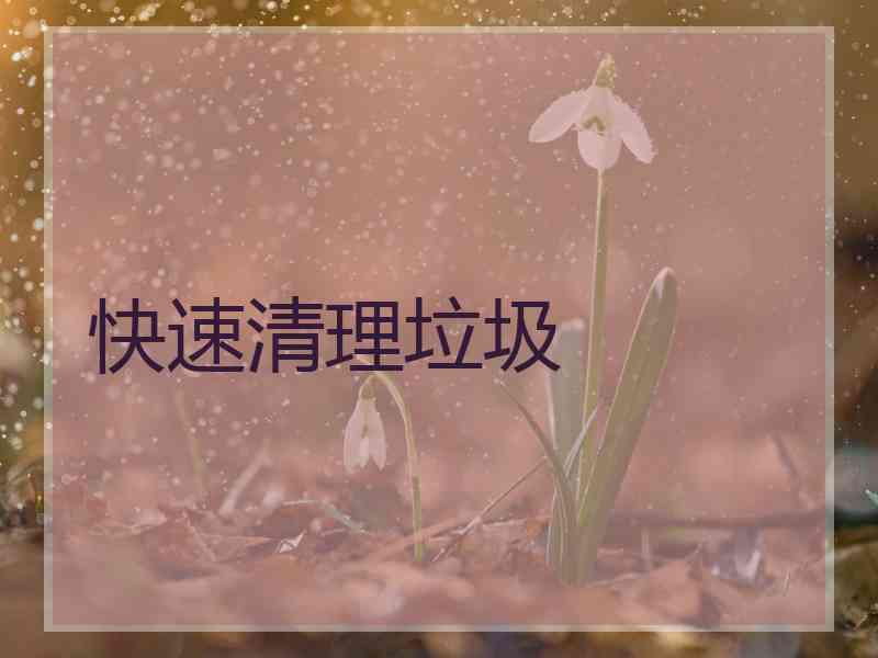 快速清理垃圾