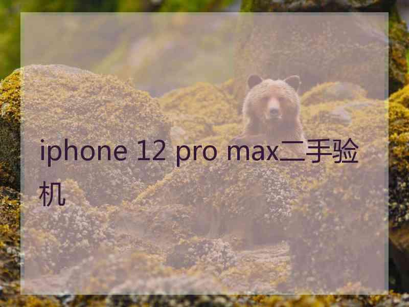 iphone 12 pro max二手验机