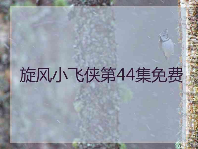 旋风小飞侠第44集免费