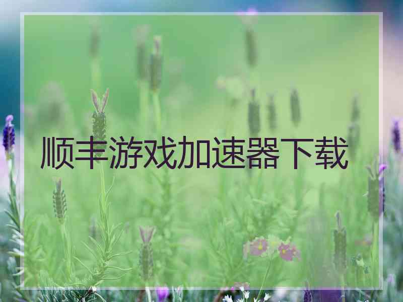 顺丰游戏加速器下载
